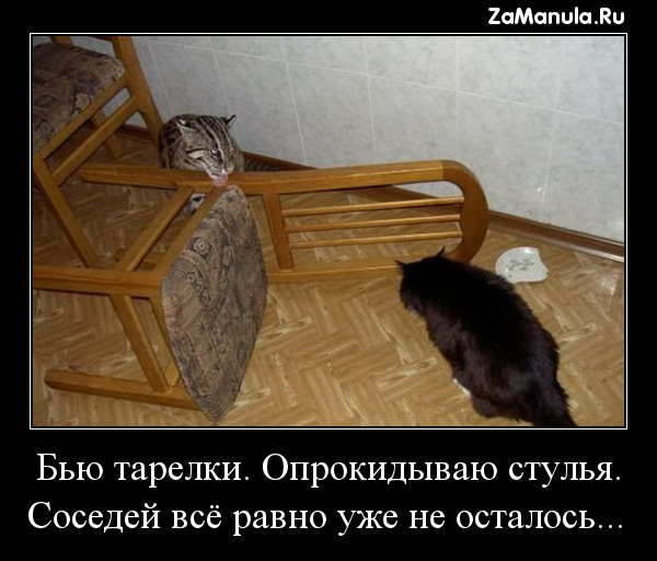 Бью тарелки. Опрокидываю стулья. Бью тарелки. Опрокидываю стулья.