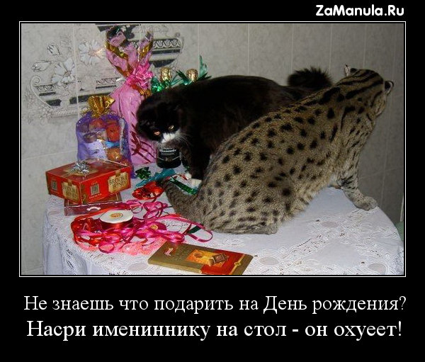 Не знаешь что подарить на День рождения? Не знаешь что подарить на День рождения?