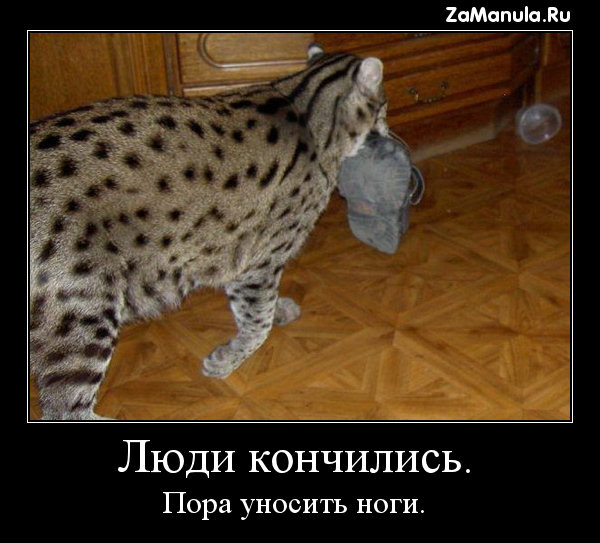 Люди кончились Люди кончились