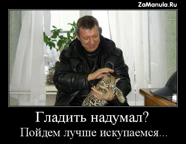 Гладить надумал? Гладить надумал?