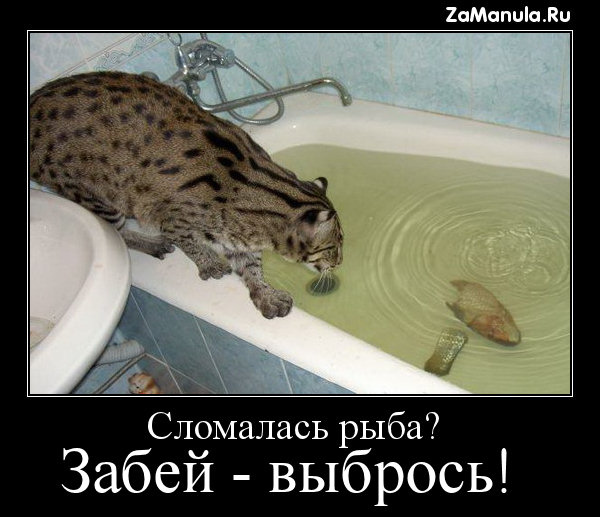 Сломалась рыба? Сломалась рыба?