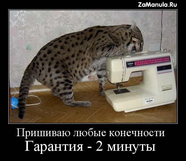 Пришиваю любые конечности Пришиваю любые конечности