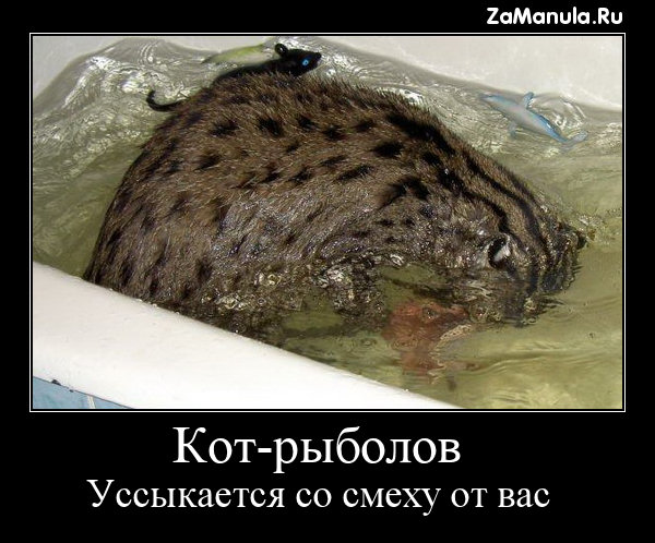 Уссыкается со смеху от вас Уссыкается со смеху от вас