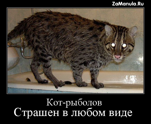 Страшен в любом виде Страшен в любом виде