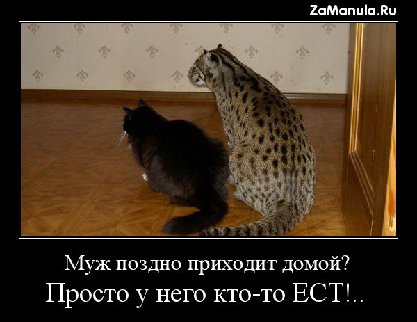 Муж поздно приходит домой? Муж поздно приходит домой?