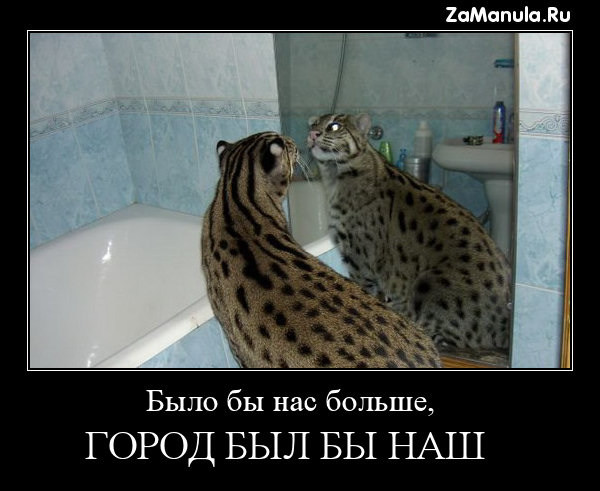 Было бы нас больше... Было бы нас больше...