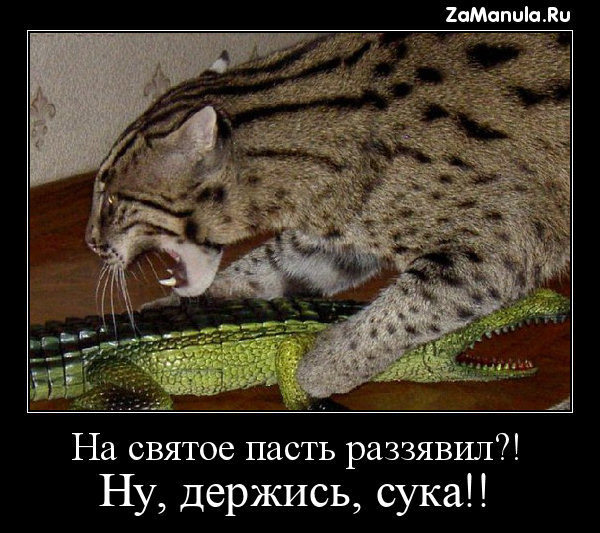 На святое пасть раззявил?! На святое пасть раззявил?!