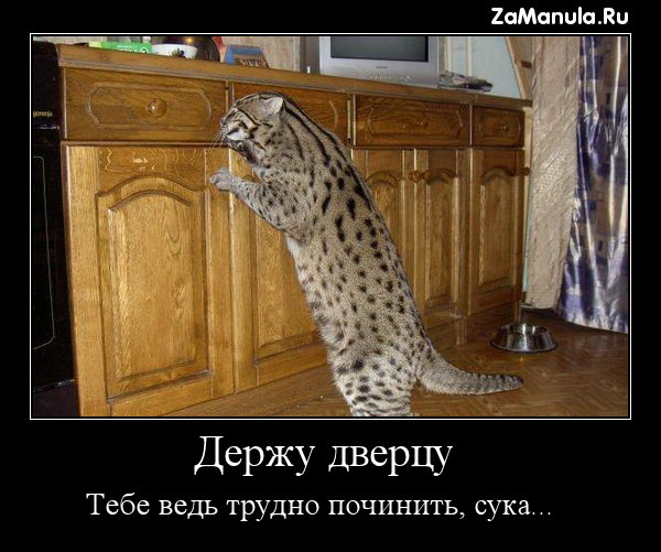 Держу дверцу Держу дверцу