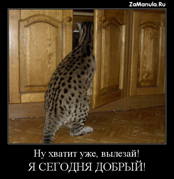 Я сегодня добрый! Я сегодня добрый!