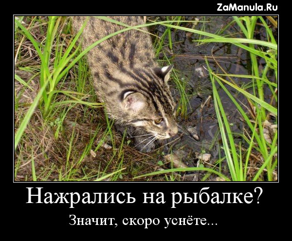 Нажрались на рыбалке? Нажрались на рыбалке?