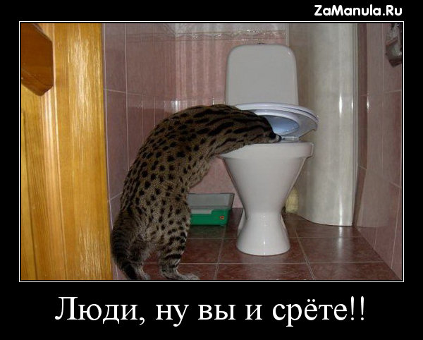 Люди, ну вы и срёте!! Люди, ну вы и срёте!!
