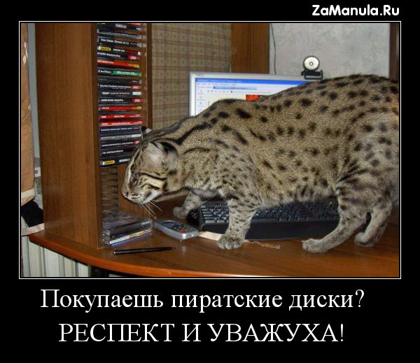 Покупаешь пиратские диски? Покупаешь пиратские диски?