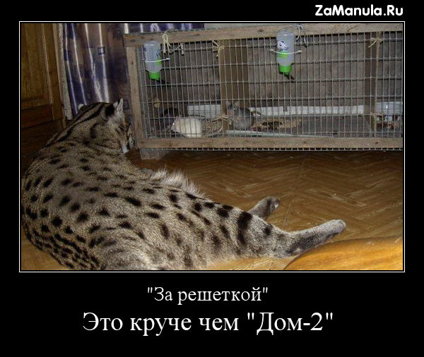 "За решёткой" "За решёткой"