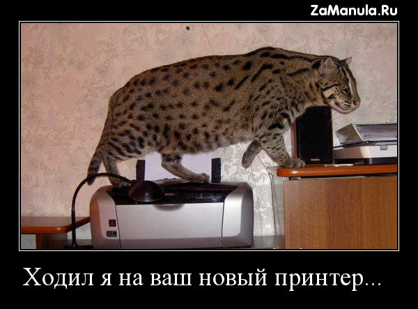 Ходил я на ваш новый принтер... Ходил я на ваш новый принтер...