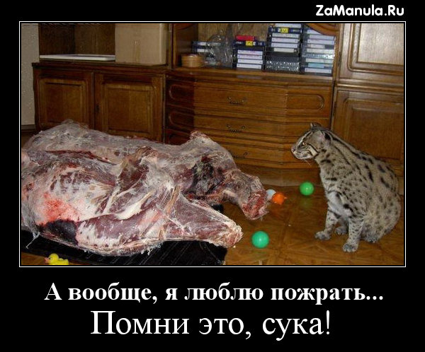 А вообще, я люблю пожрать... А вообще, я люблю пожрать...