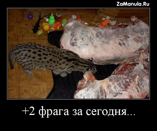 +2 фрага за сегодня... +2 фрага за сегодня...