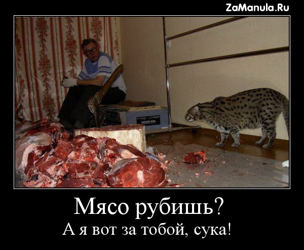 Мясо рубишь? Мясо рубишь?