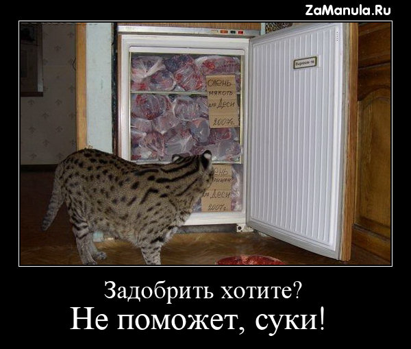 Задобрить хотите? Задобрить хотите?