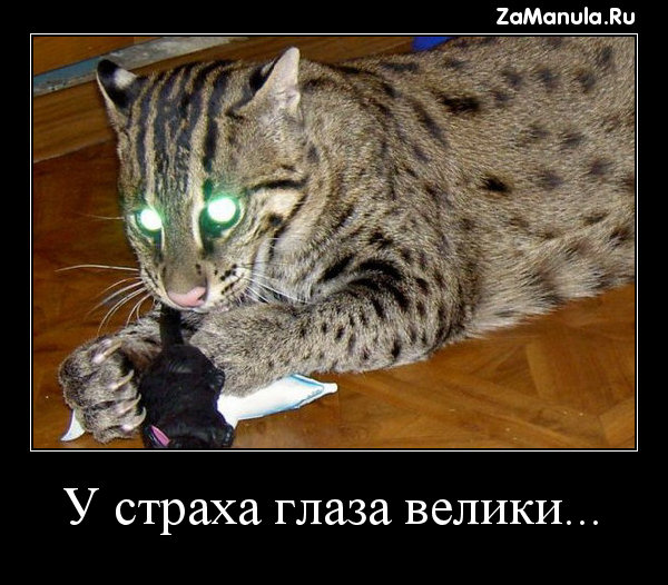 У страха глаза велики... У страха глаза велики...