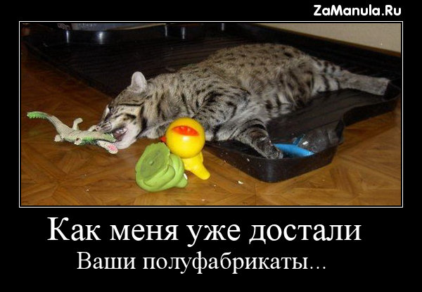Как меня уже достали ваши полуфабрикаты... Как меня уже достали ваши полуфабрикаты...
