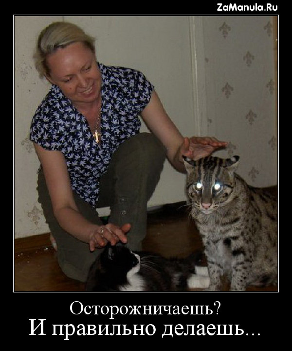 Осторожничаешь? Осторожничаешь?