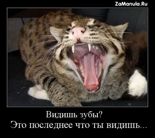 Видишь зубы? Видишь зубы?