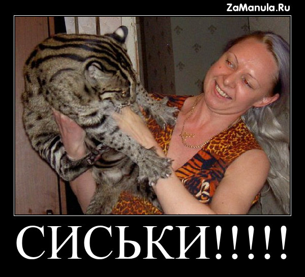 СИСЬКИ!!!!! СИСЬКИ!!!!!