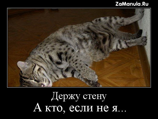 Держу стену Держу стену