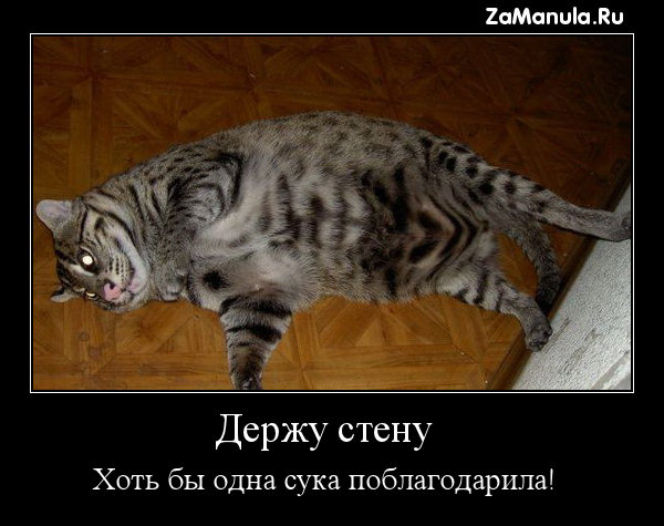 Держу стену 2
