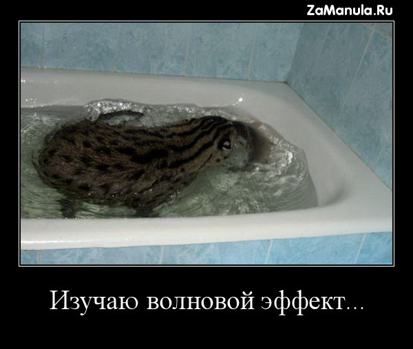 Изучаю волновой эффект... Изучаю волновой эффект...