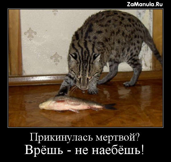 Прикинулась мертвой?
