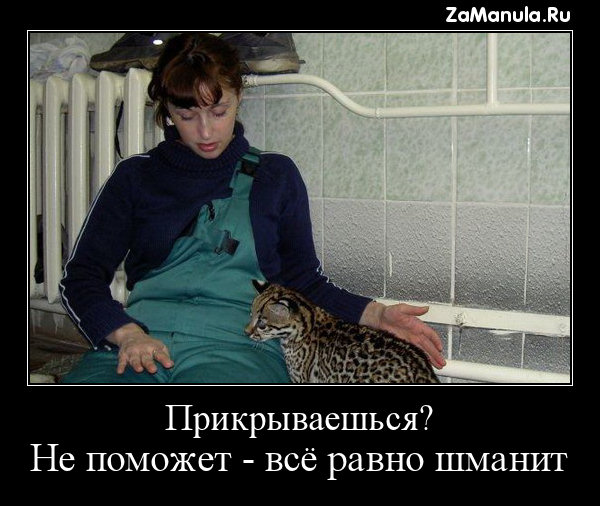 Прикрываешься? Прикрываешься?