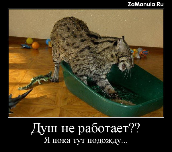 Душ не работает?? Душ не работает??