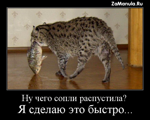 Я сделаю это быстро... Я сделаю это быстро...