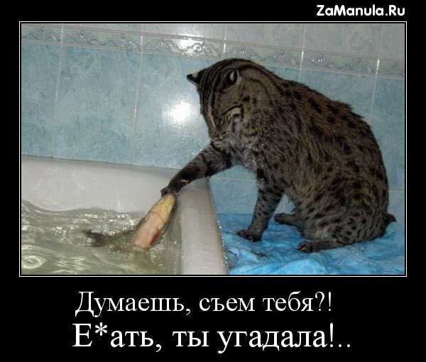 Думаешь, съем тебя?! Думаешь, съем тебя?!