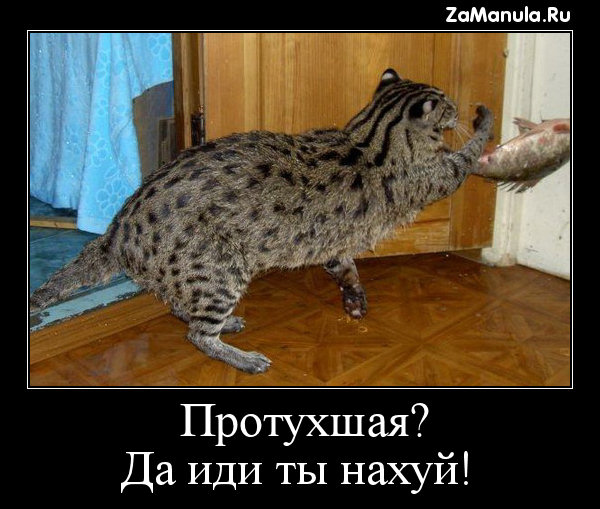 Протухшая? Протухшая?