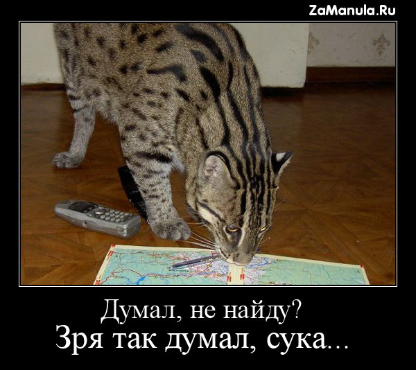 Думал, не найду? Думал, не найду?