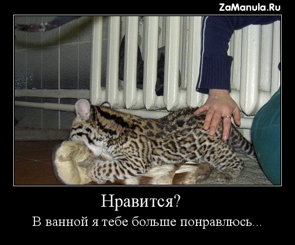 В ванной я тебе больше понравлюсь... В ванной я тебе больше понравлюсь...
