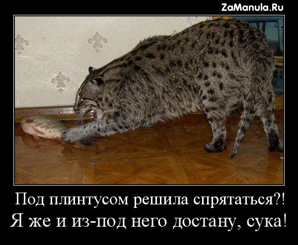 Под плинтусом решила спрятаться?! Под плинтусом решила спрятаться?!