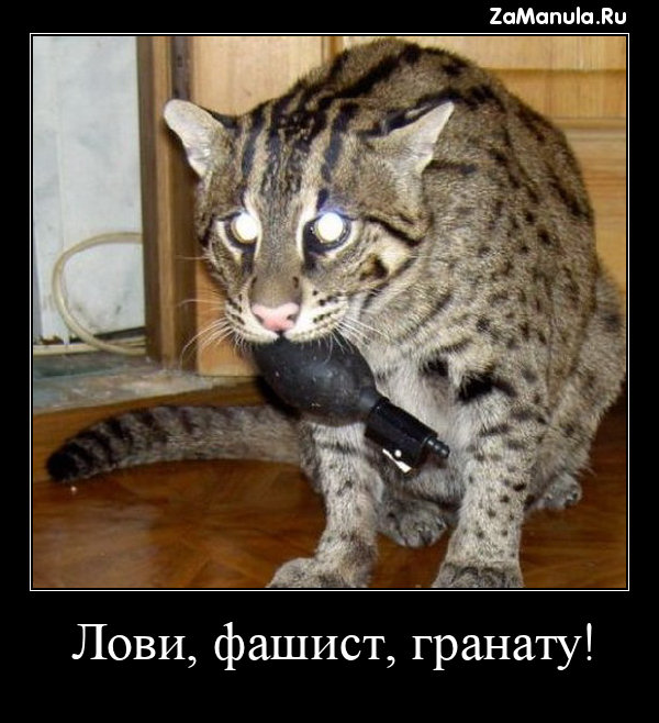 Лови, фашист, гранату! Лови, фашист, гранату!