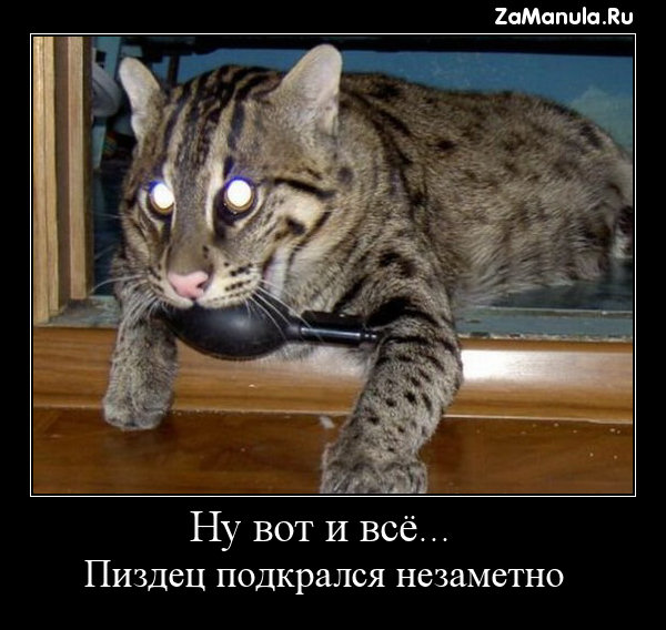 Ну вот и всё... Ну вот и всё...