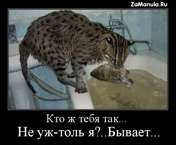 Кто ж тебя так... Кто ж тебя так...