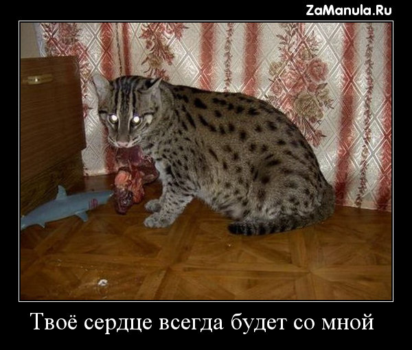 Твоё сердце всегда будет со мной Твоё сердце всегда будет со мной