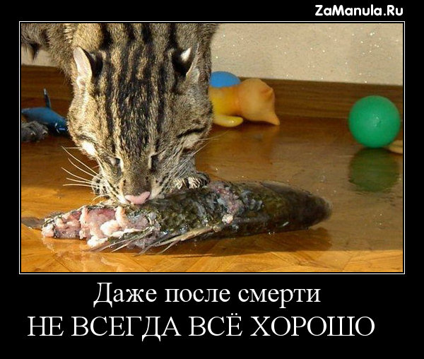 Не всегда всё хорошо Не всегда всё хорошо