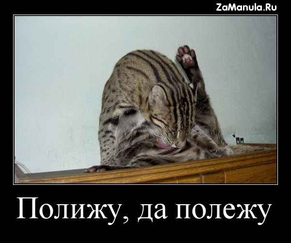 Полижу, да полежу Полижу, да полежу