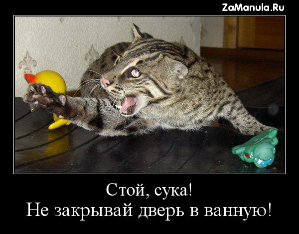 Не закрывай дверь в ванную! Не закрывай дверь в ванную!