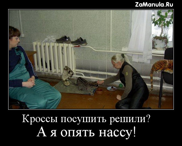 Кроссы посушить решили? Кроссы посушить решили?