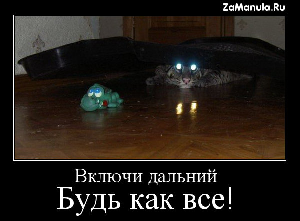 Будь как все!