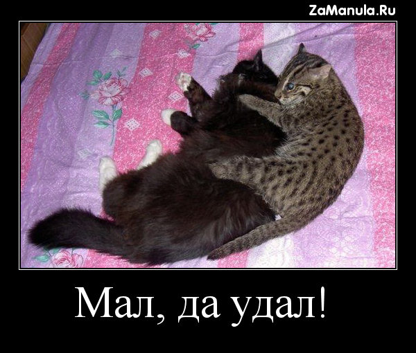 Мал, да удал! Мал, да удал!