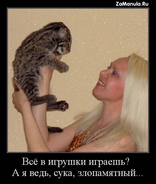 Всё в игрушки играешь? Всё в игрушки играешь?